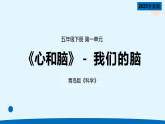 青岛版五年级科学下册 1.《我们的脑》（教案+课件）