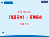 青岛版五年级科学下册 14.《夏季星空》（教案+课件）