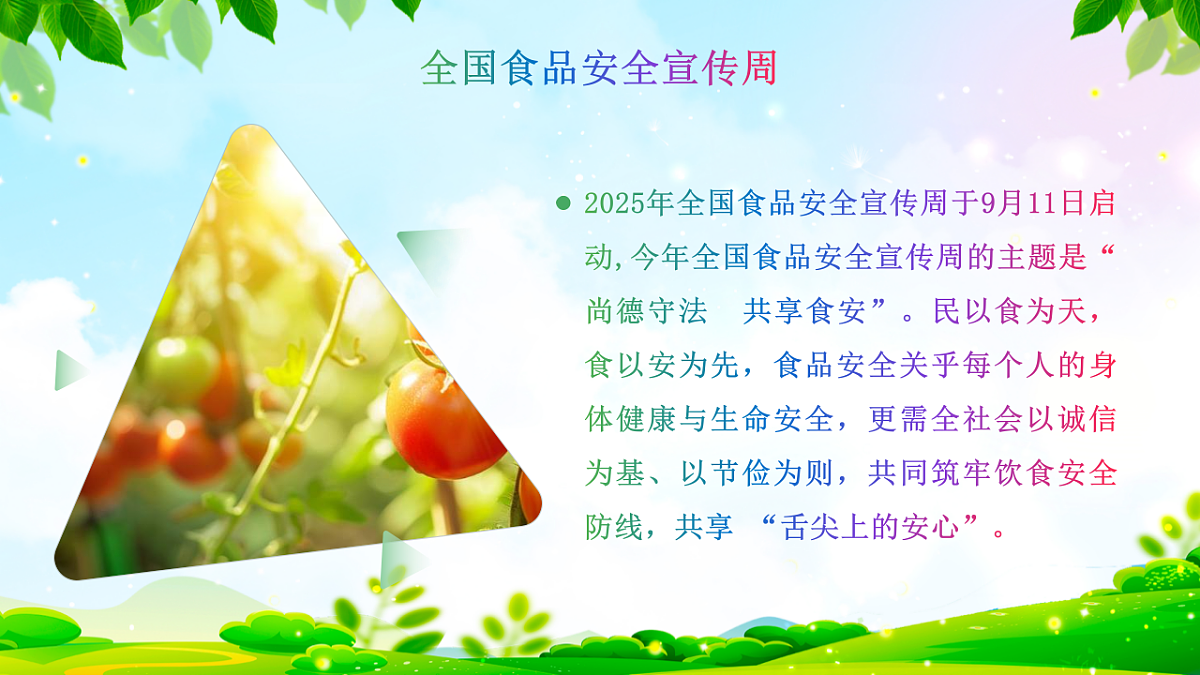 17376993第4页