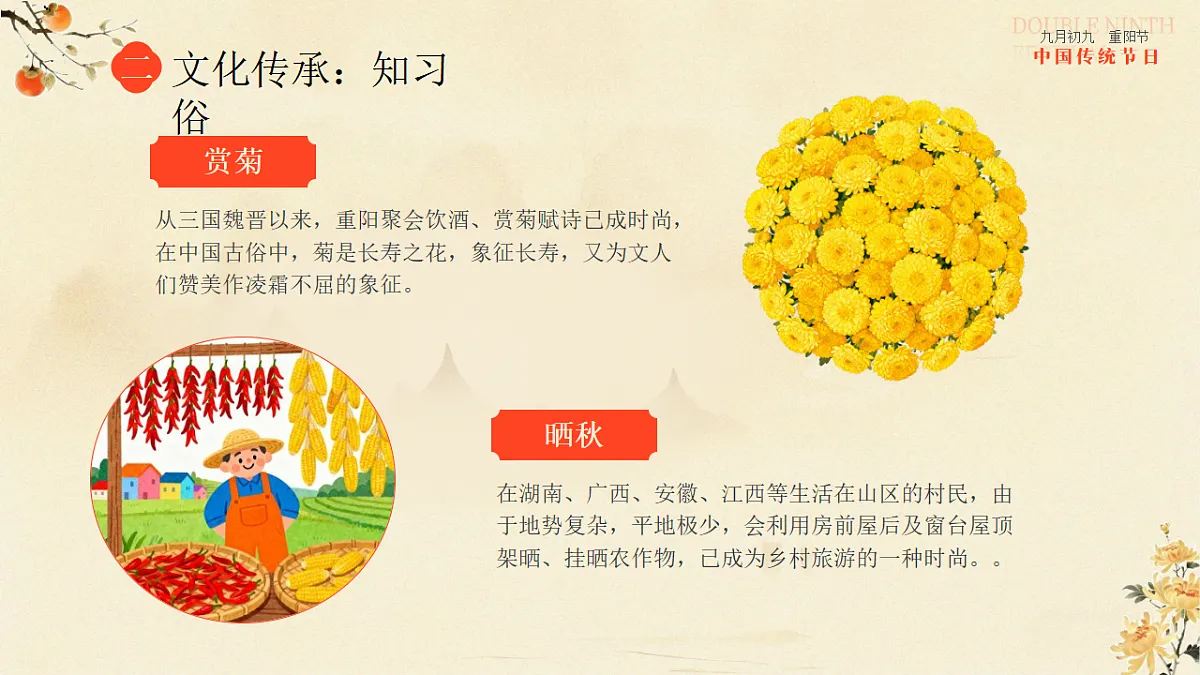 17376998第7页