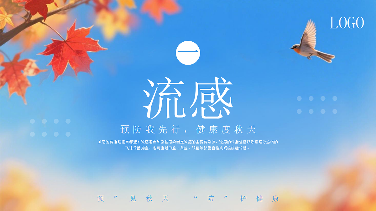 17377005第3页