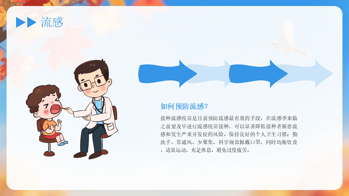 17377005第5页
