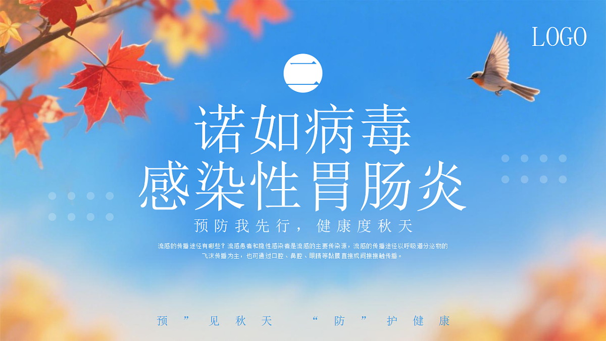 17377005第6页