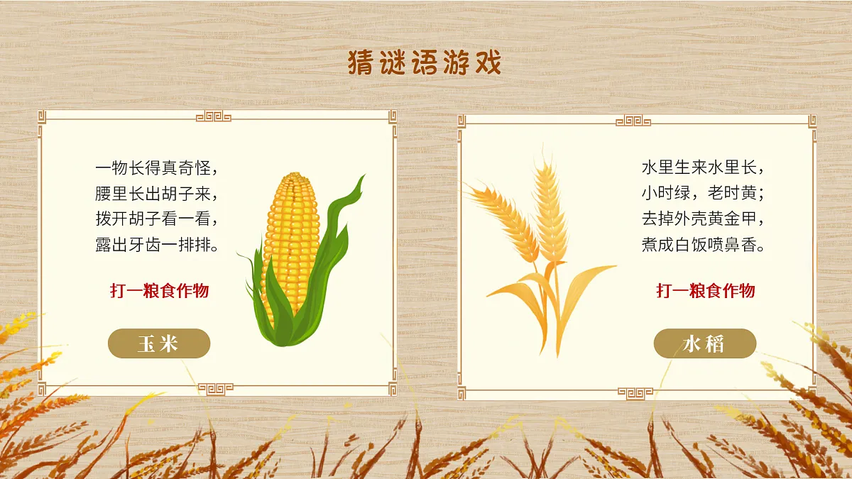17377006第2页