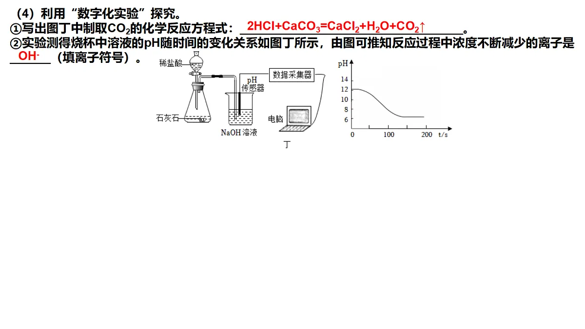 17377464第4页