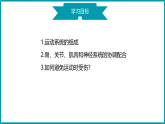 初中  生物  人教版（2024）  八年级上册4.6.3 神经系统支配下的运动 课件