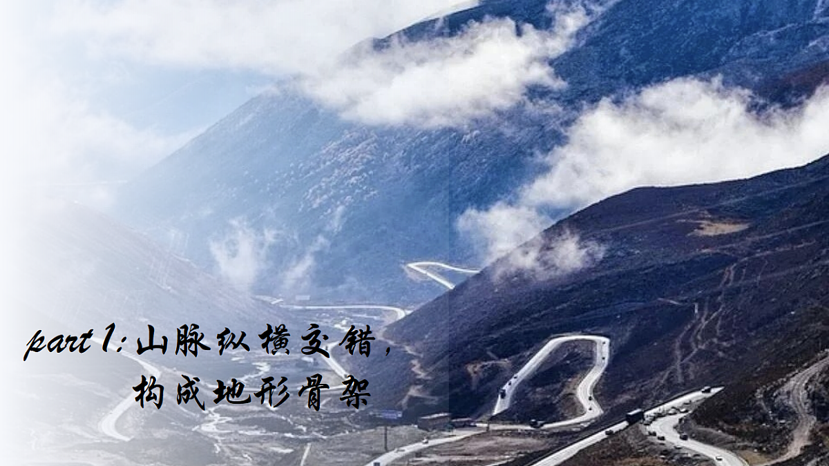 17377535第4页