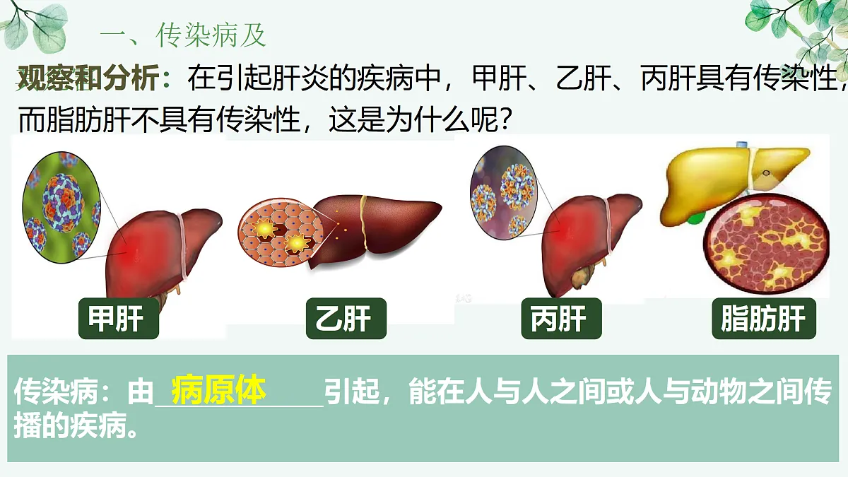 17377555第3页