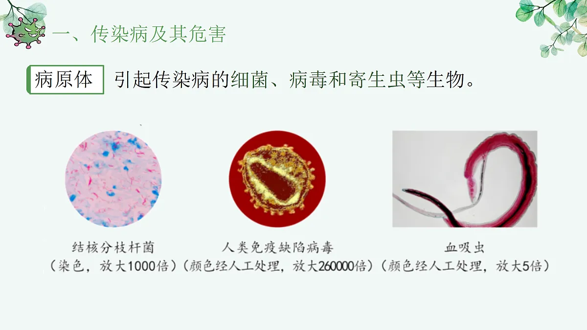 17377555第4页