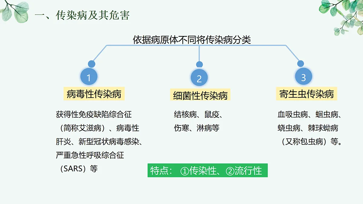 17377555第5页
