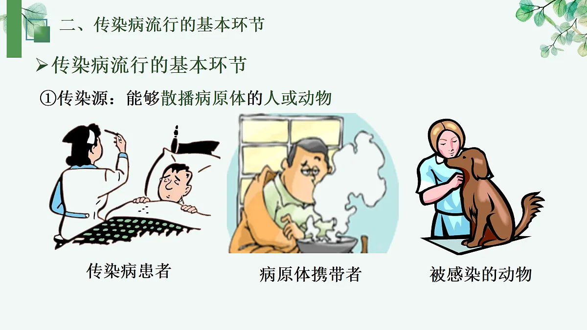 17377555第7页