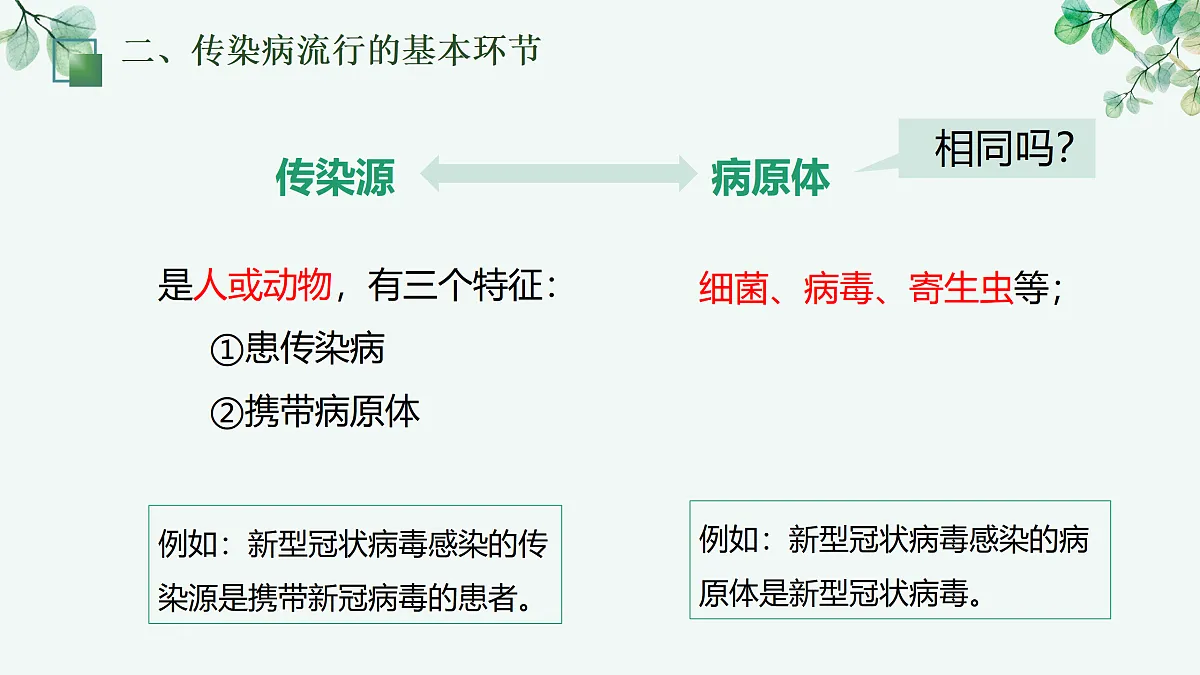 17377555第8页