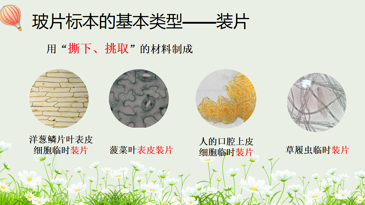 17377562第4页