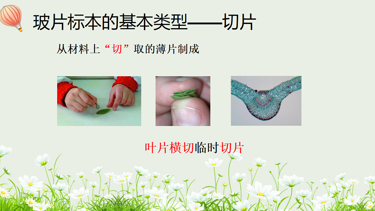 17377562第5页