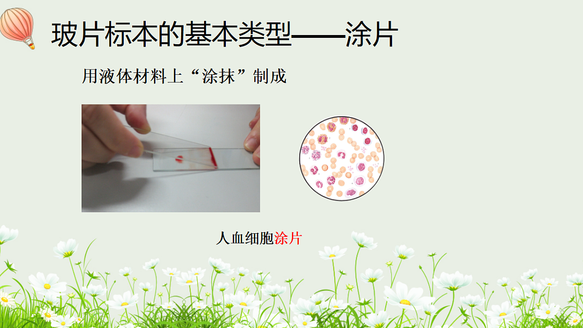 17377562第6页