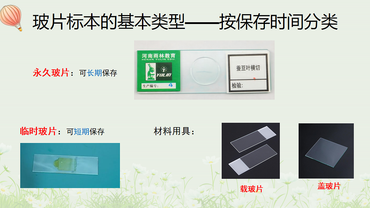 17377562第7页