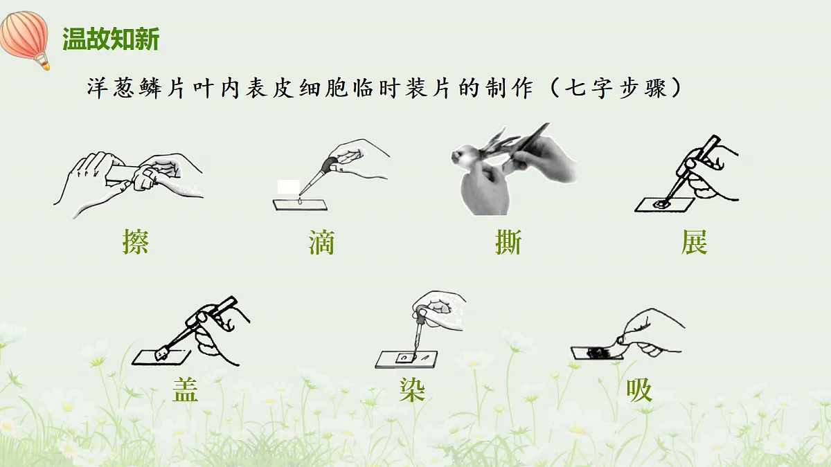17377563第3页
