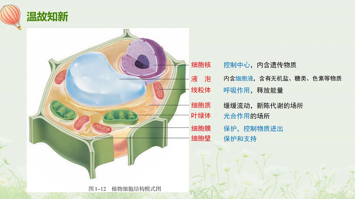 17377563第4页