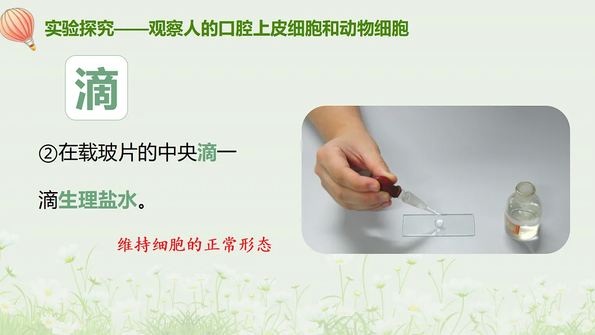17377563第7页