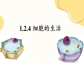 人教版生物七年级上册1.2.4《细胞的生活》（教学课件）