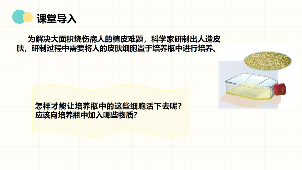 17377564第3页