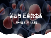 人教版生物七年级上册1.2.4《细胞的生活》（课件）
