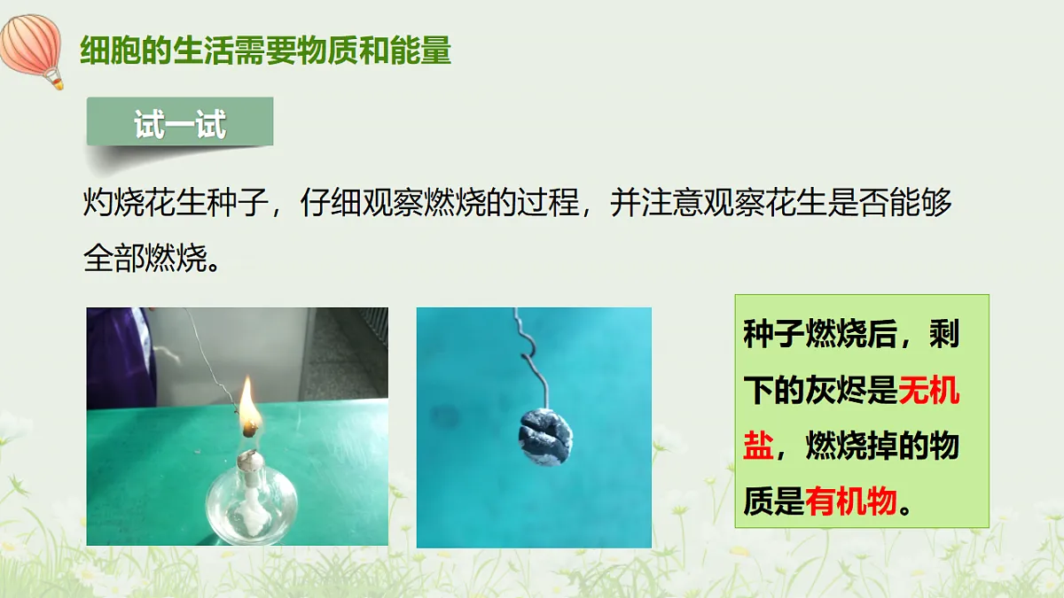 17377566第6页