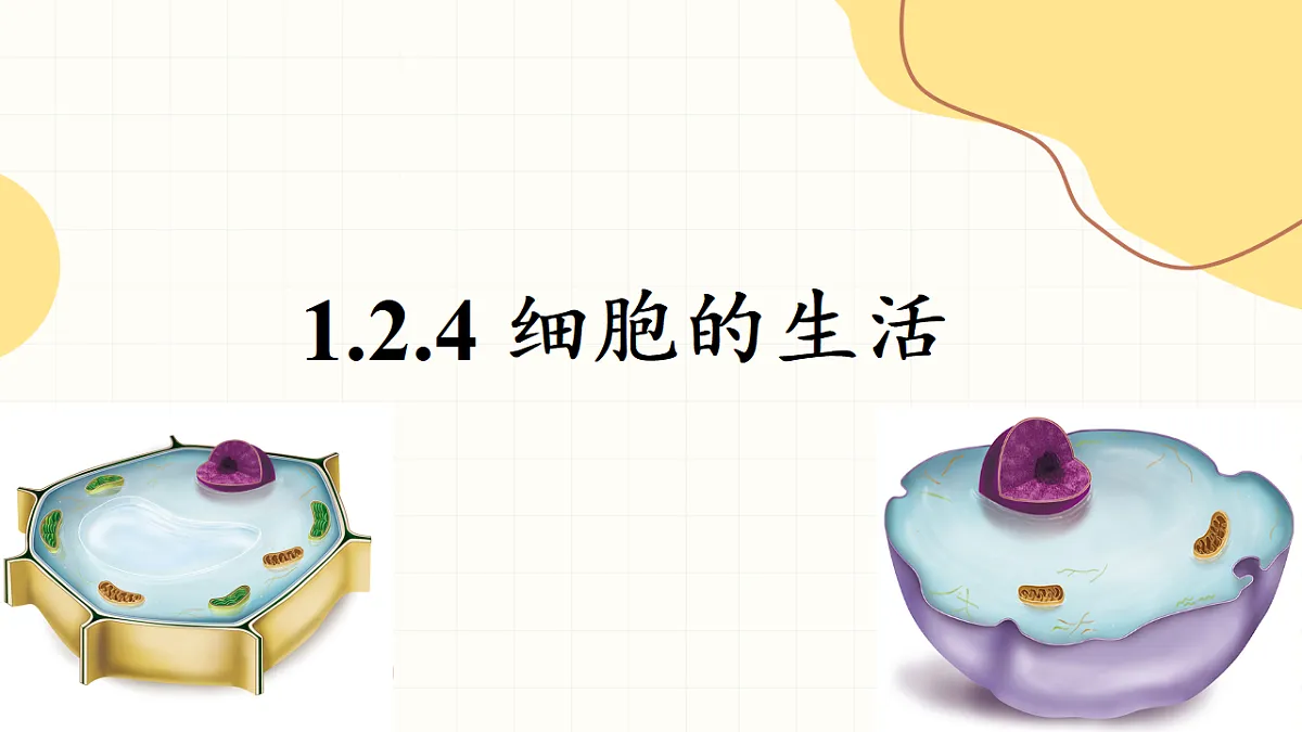 17377567第1页