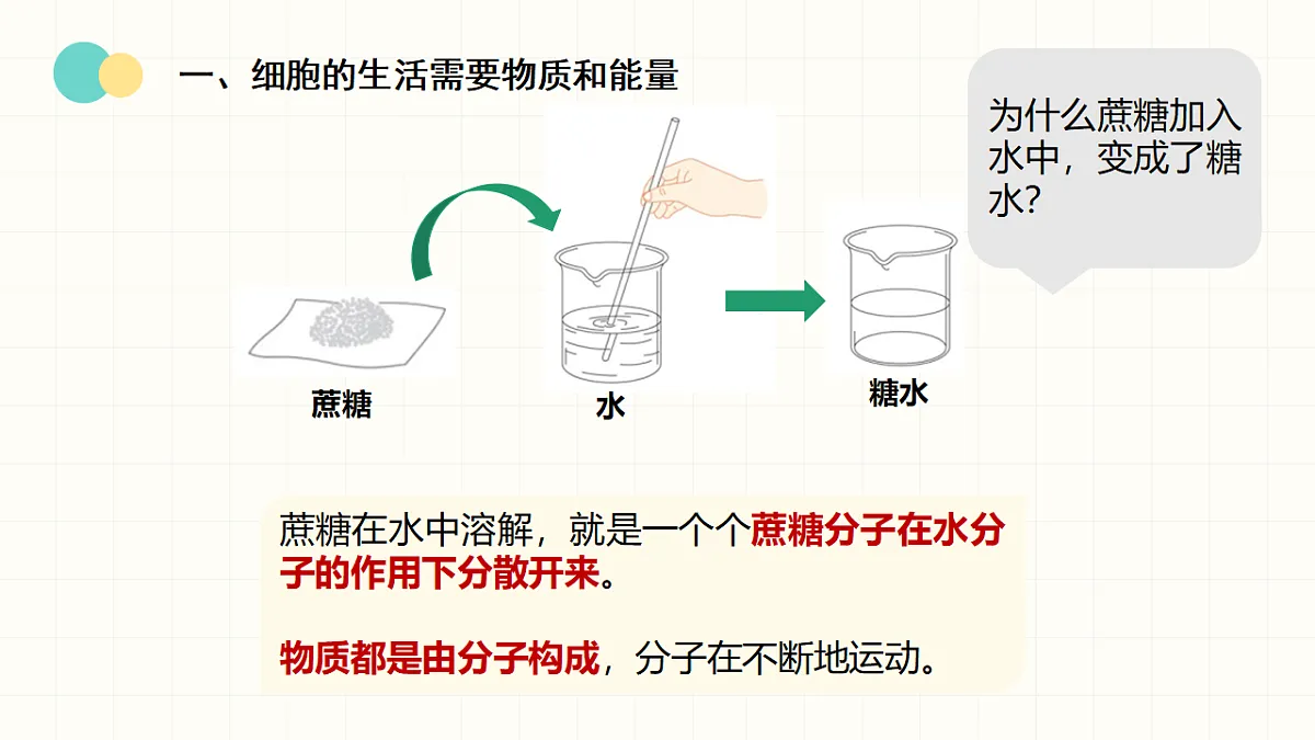 17377567第5页
