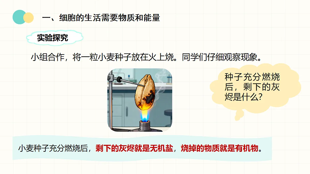 17377567第7页