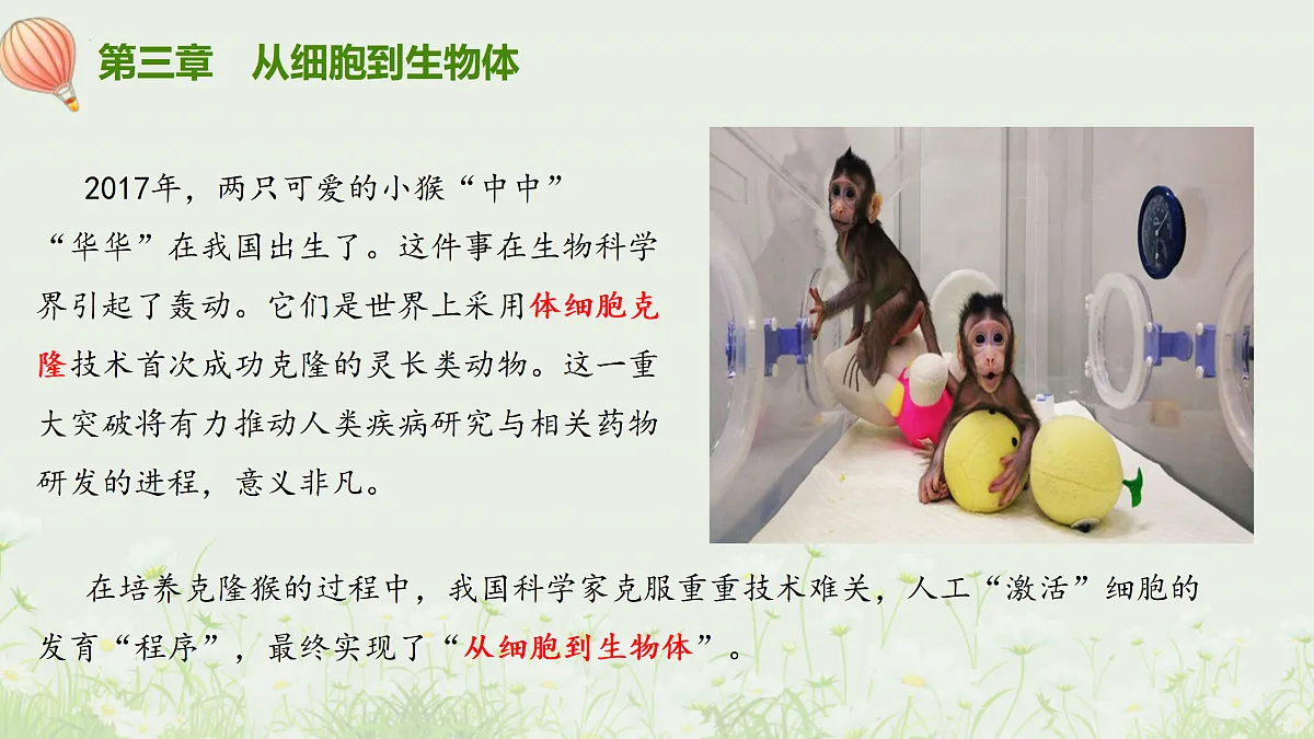 17377568第3页
