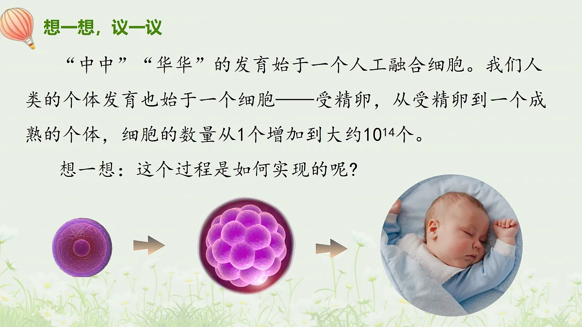 17377568第4页