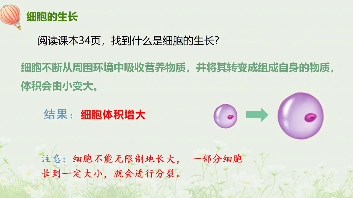 17377568第6页