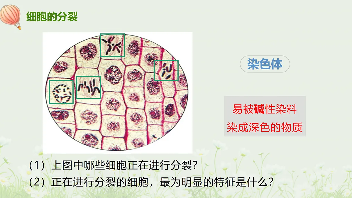 17377568第7页