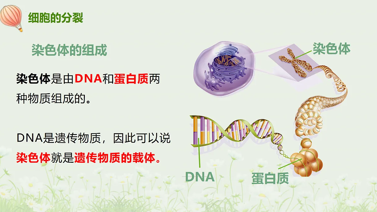 17377568第8页