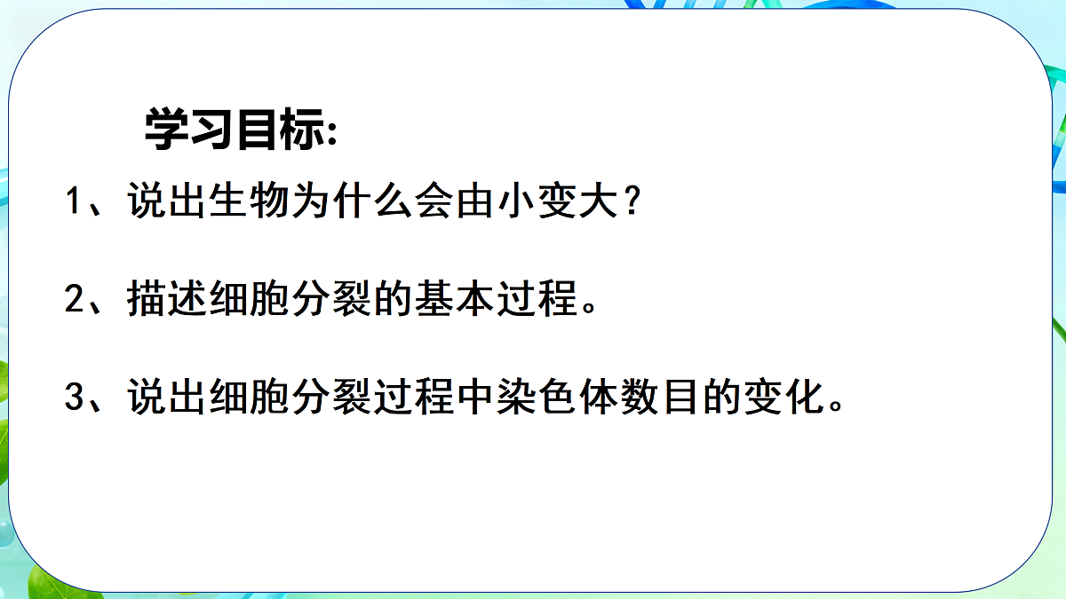 17377569第3页