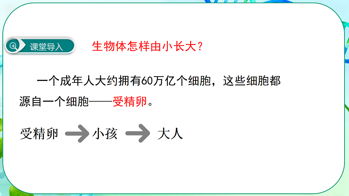 17377569第4页