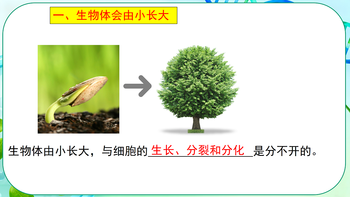 17377569第5页