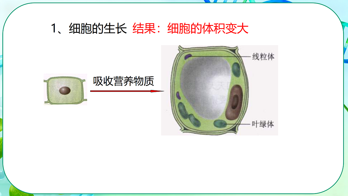 17377569第6页