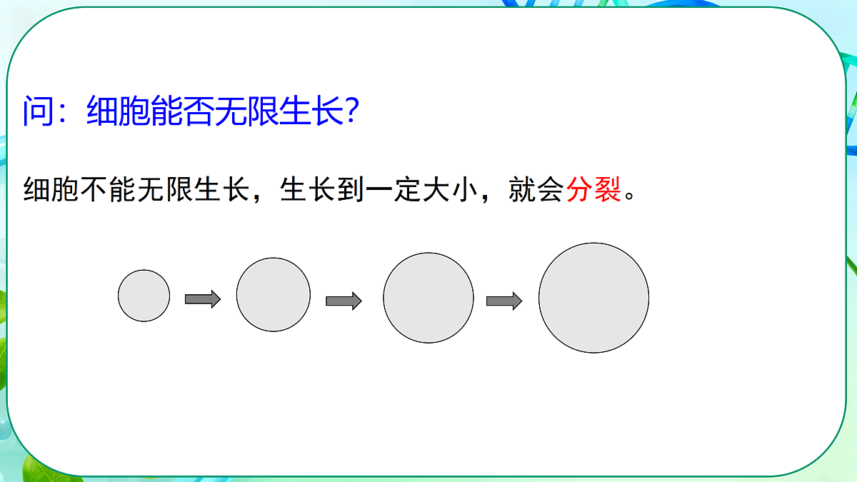 17377569第7页