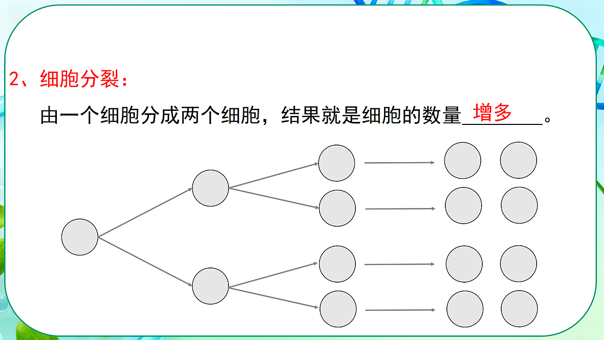 17377569第8页