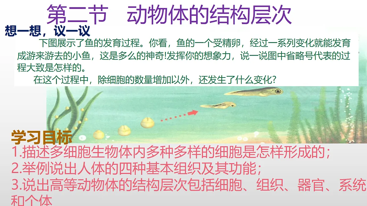 17377570第1页