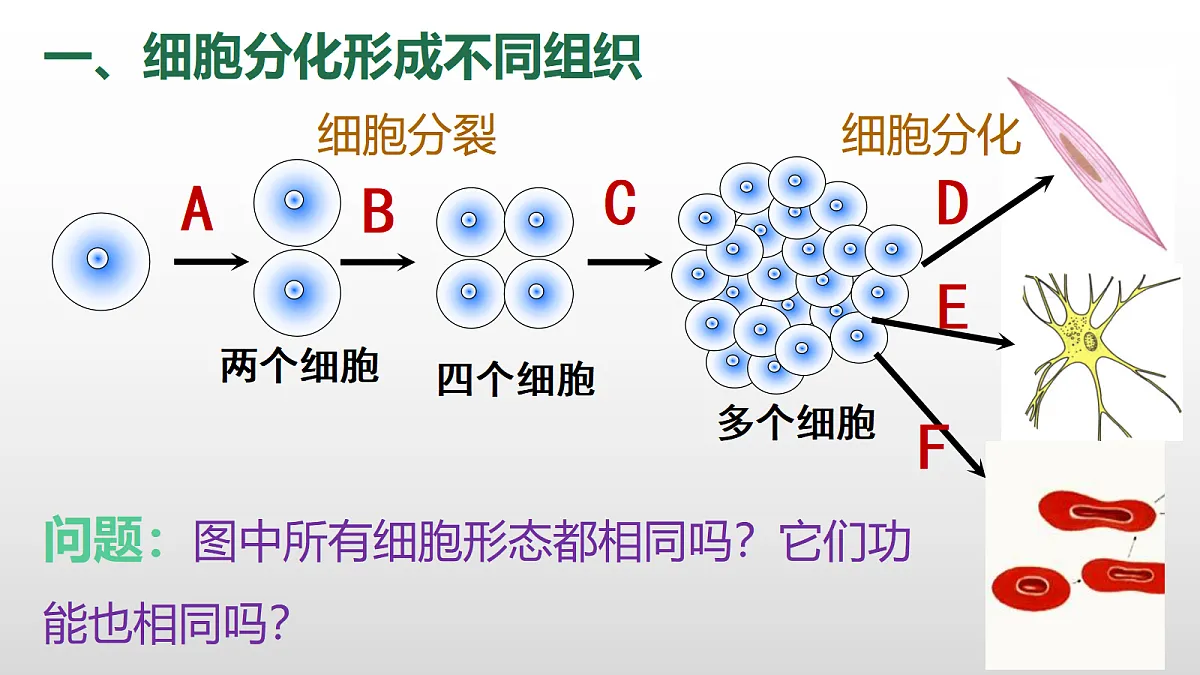 17377570第3页