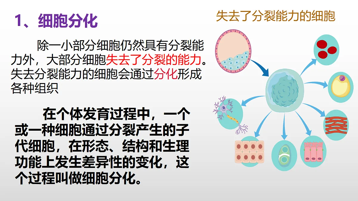 17377570第4页
