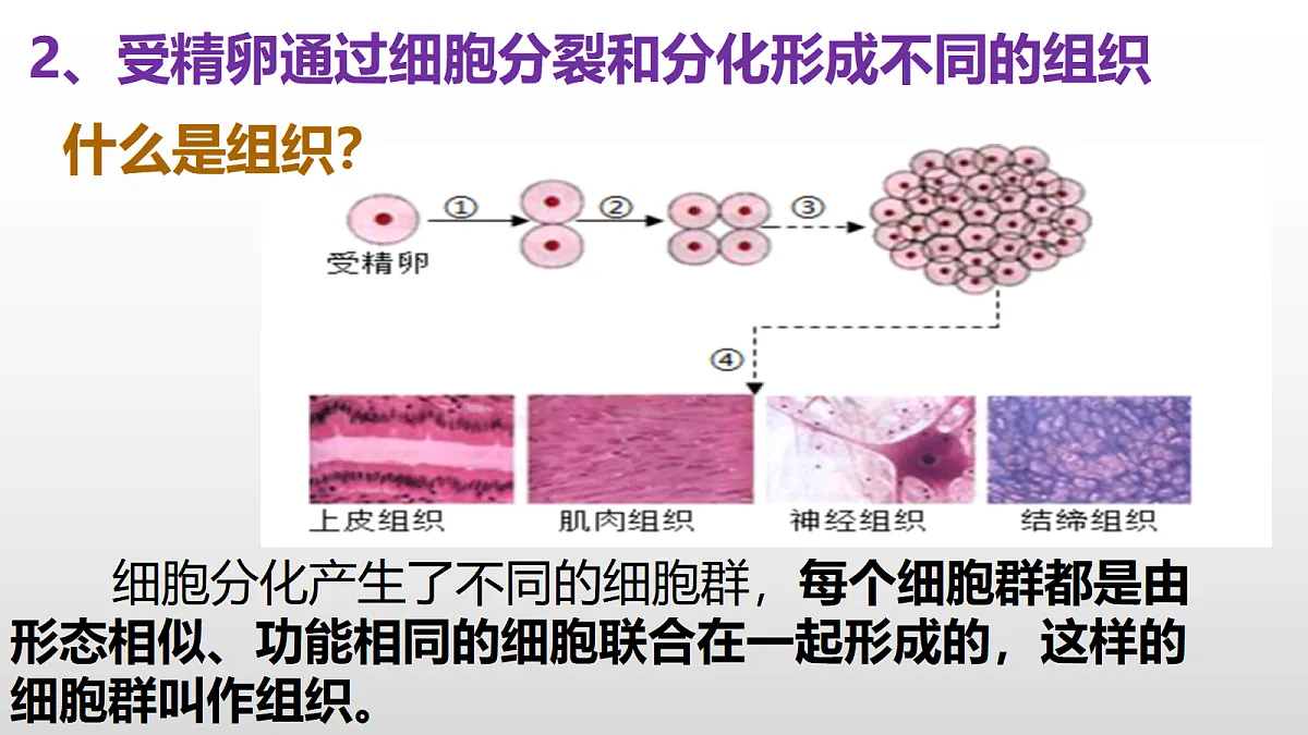 17377570第5页