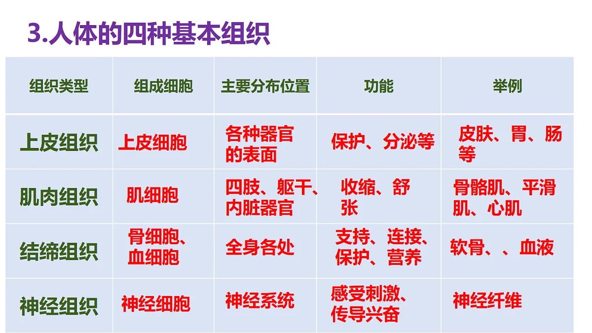 17377570第8页