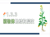 人教版生物七年级上册1.3.3《植物体的结构层次》-教学课件