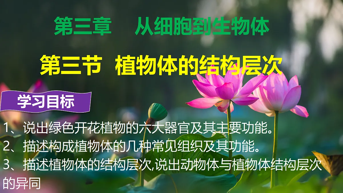 17377573第1页