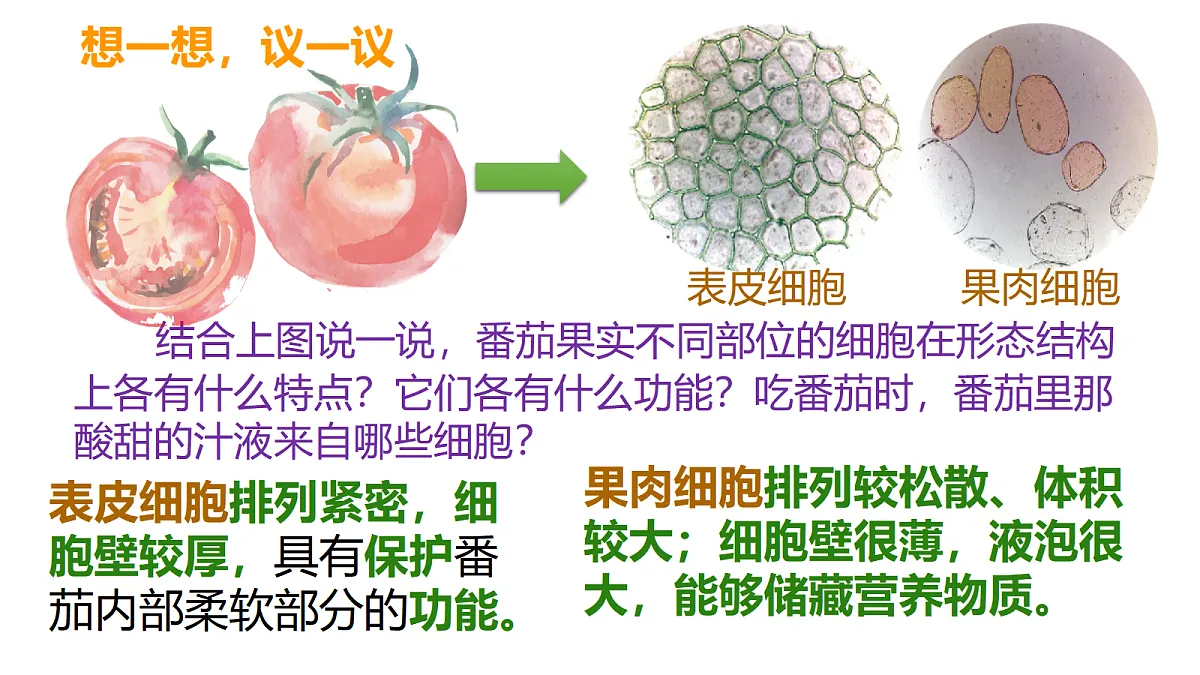 17377573第2页