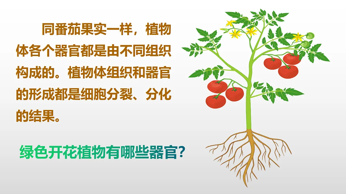 17377573第3页